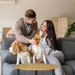 relaxdays Beistelltisch »Beistelltisch rund mit Rollen«, M -Deutschland Möbel Verkäufe 2024 0c639b26 2bb1 554a a6ce c62a60875915