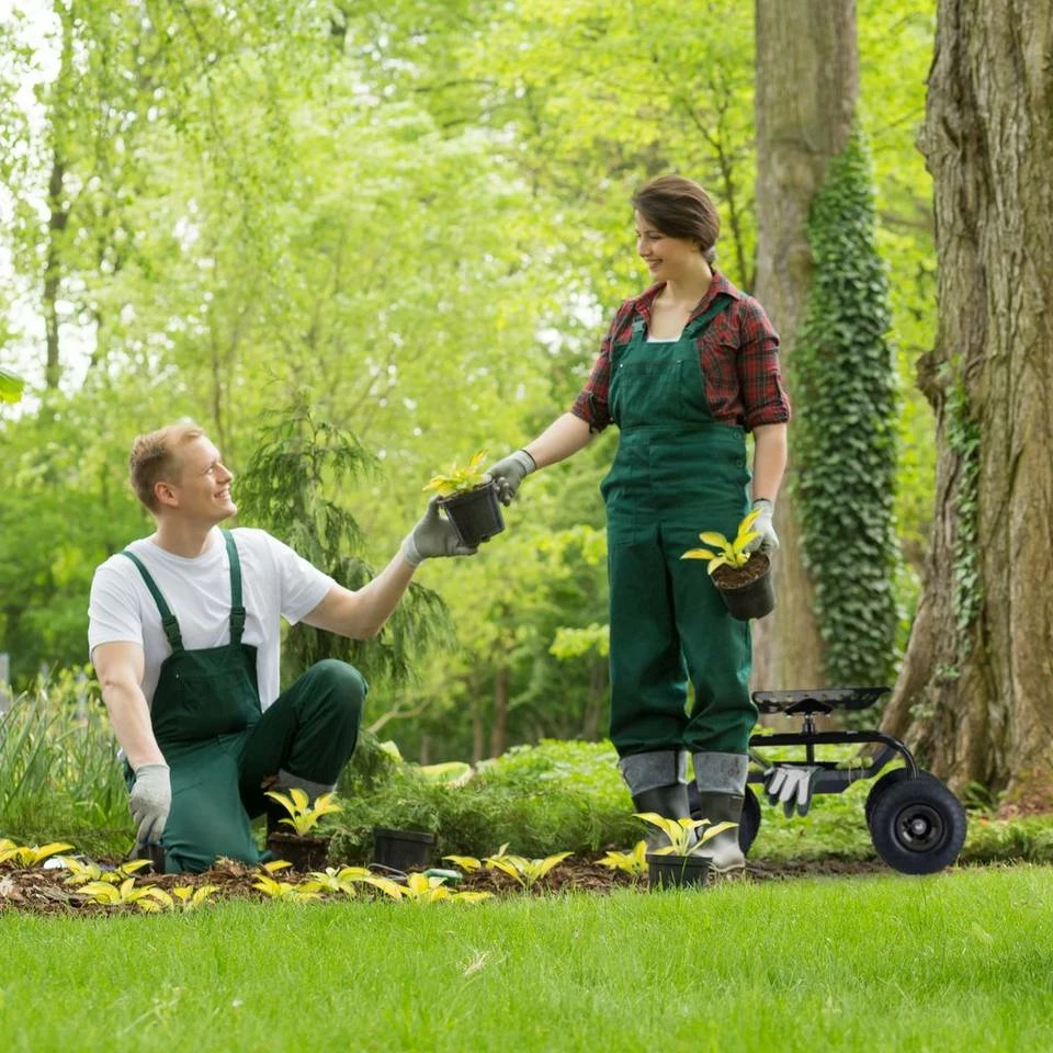 relaxdays Rollsitz »Rollsitz für den Garten« 3 relaxdays Rollsitz »Rollsitz für den Garten« – Bild 3