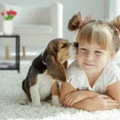 relaxdays Beistelltisch »Beistelltisch mit Schwarzglas« -Deutschland Möbel Verkäufe 2024 45d82bd7 5eab 547a a81d a0c0c480ddd8