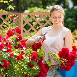 relaxdays Beistelltisch »2 in 1 Rankkasten aus Holz«, L 14 relaxdays Beistelltisch »2 in 1 Rankkasten aus Holz«, L -Deutschland Möbel Verkäufe 2024 562e660a 3f99 5609 b686 8705219ebf6f