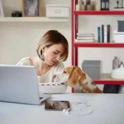 relaxdays Schwerlastregal »Schwerlastregal rot« 11 relaxdays Schwerlastregal »Schwerlastregal rot« -Deutschland Möbel Verkäufe 2024 5961b0ba 03cf 55f6 9e04 9dd5163ea77f