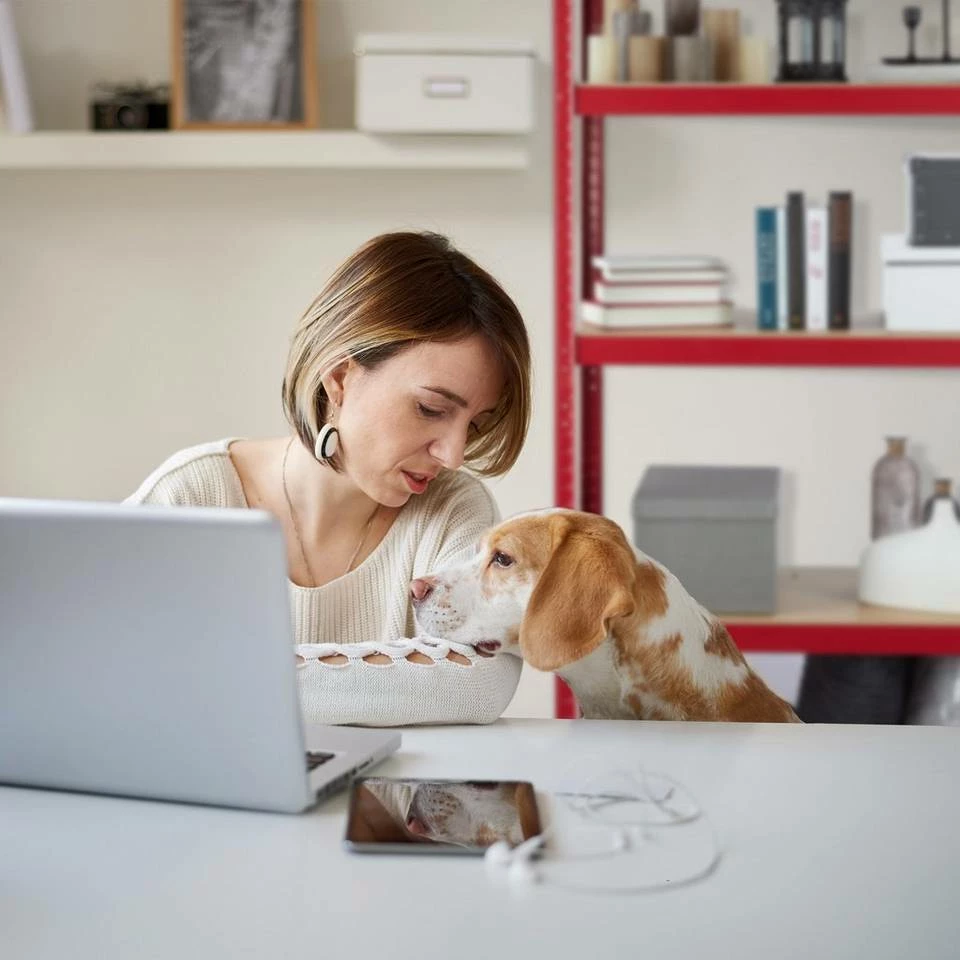 relaxdays Schwerlastregal »Schwerlastregal rot« 3 relaxdays Schwerlastregal »Schwerlastregal rot« – Bild 3