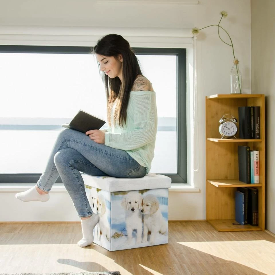 relaxdays Sitzhocker »Motiv Sitzhocker mit Stauraum«, C Weiß Creme Hellblau, Hellblau Orange Creme, Weiß Rot Blau 2 relaxdays Sitzhocker »Motiv Sitzhocker mit Stauraum«, C Weiß Creme Hellblau, Hellblau Orange Creme, Weiß Rot Blau – Bild 2