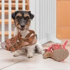 relaxdays Universalschutzgitter »Absperrgitter 70 cm«, 3 Panel 15 relaxdays Universalschutzgitter »Absperrgitter 70 cm«, 3 Panel -Deutschland Möbel Verkäufe 2024 5d86a427 c79f 5b81 9388 ec051b475380