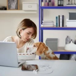 relaxdays Schwerlastregal »Schwerlastregal blau« -Deutschland Möbel Verkäufe 2024 642f2b35 1951 5a09 8b65 a616f896a2a4