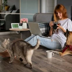 relaxdays Beistelltisch »2 in 1 Korbtisch und Tierhöhle« -Deutschland Möbel Verkäufe 2024 7a4caeb8 45df 56ac b1d8 aec4e4b833cf