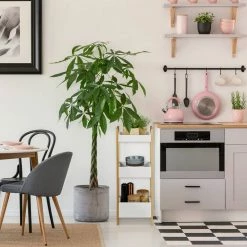 relaxdays Badregal »Badregal mit 3 Körben« -Deutschland Möbel Verkäufe 2024 81f9b279 548d 54ed 80a6 7dc9ead8321f