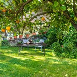 relaxdays Gartentisch »Klappbarer Gartentisch Holzoptik«, Braun -Deutschland Möbel Verkäufe 2024 8a94599f b28a 5409 9f60 d6d2f5bfd8f5