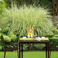 relaxdays Gartentisch »Quadratischer Gartentisch Holzoptik« -Deutschland Möbel Verkäufe 2024 8d07a370 c56e 5d9e aa4d aa22865d11c0