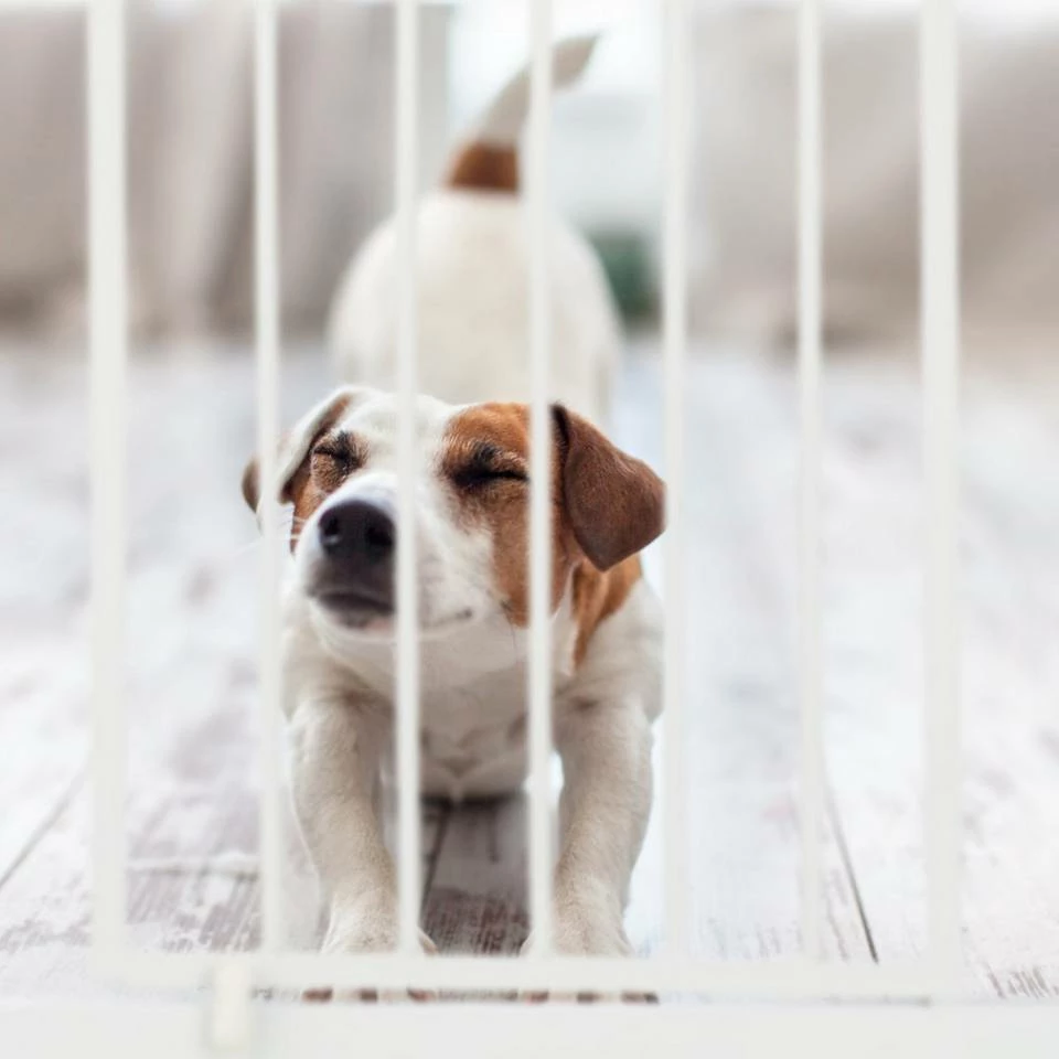 relaxdays Treppenschutzgitter »Schutzgitter Verlängerung«, M 3 relaxdays Treppenschutzgitter »Schutzgitter Verlängerung«, M – Bild 3