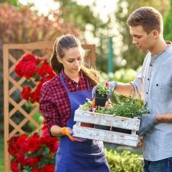 relaxdays Beistelltisch »2 in 1 Rankkasten aus Holz«, L 12 relaxdays Beistelltisch »2 in 1 Rankkasten aus Holz«, L -Deutschland Möbel Verkäufe 2024 f84c3094 8e98 5c5d 95b7 f4166fe05afa